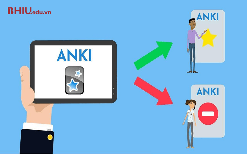 App học ielts miễn phí Anki