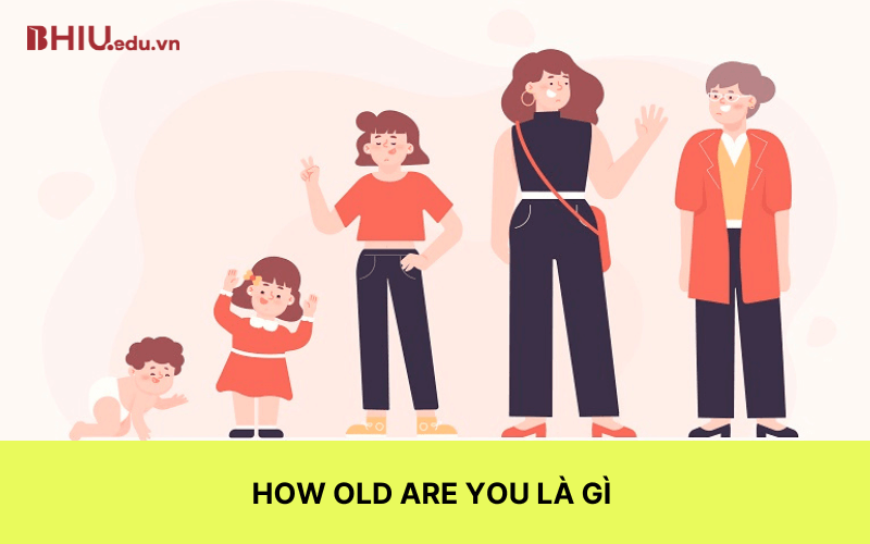 How old are you là gì