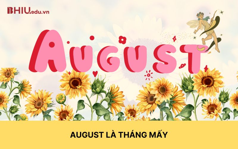 August là tháng mấy? Ý nghĩa và cách dùng trong tiếng Anh