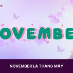 November là tháng mấy trong tiếng Anh? Ý nghĩa và vai trò